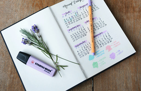 Bullet journal / Photo by Estée Janssens on Unsplash